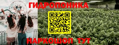 первитин Новозыбков